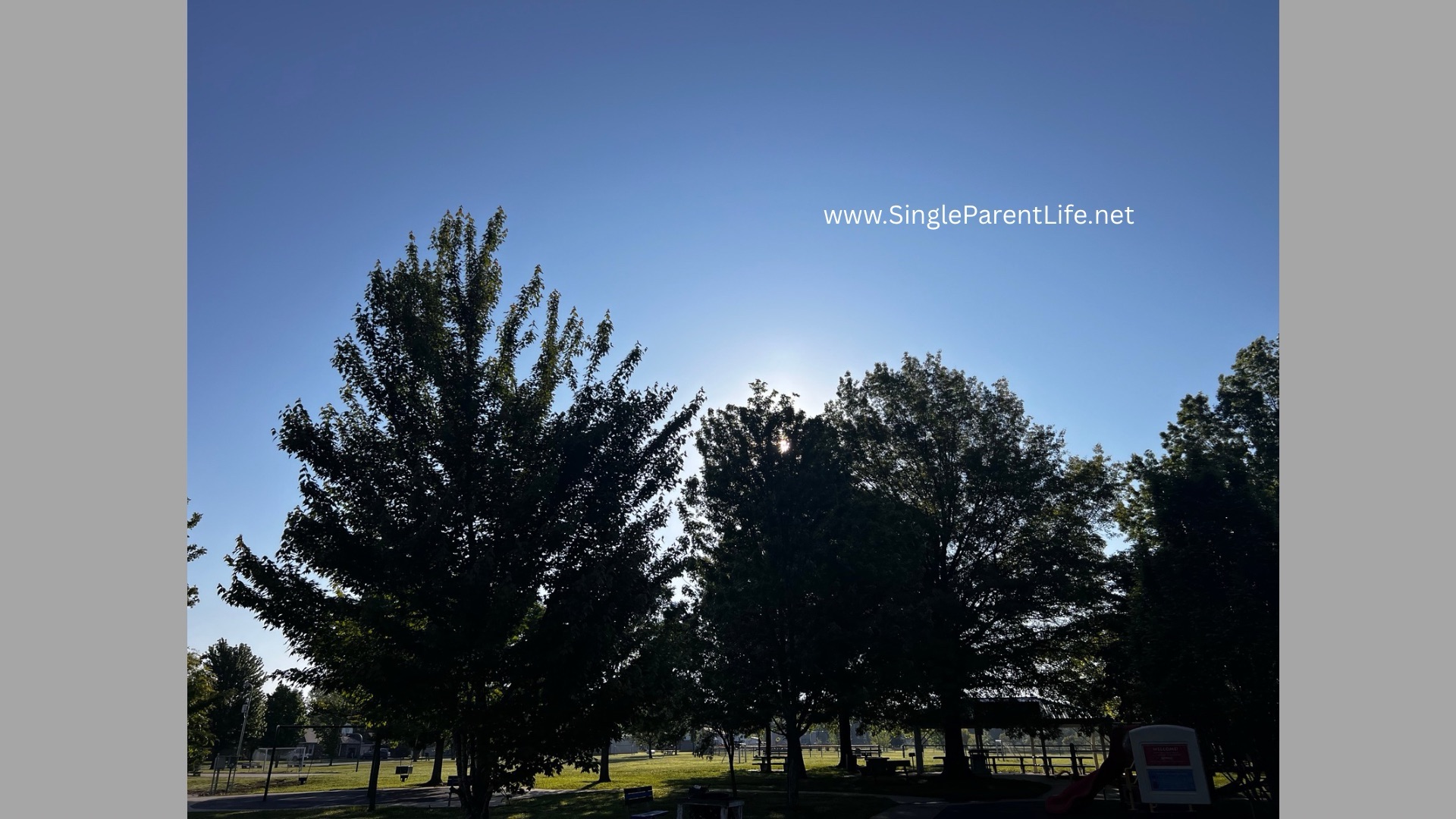 Resetting My Health Journey: From Couch to 5K to a Fresh Summer Focus