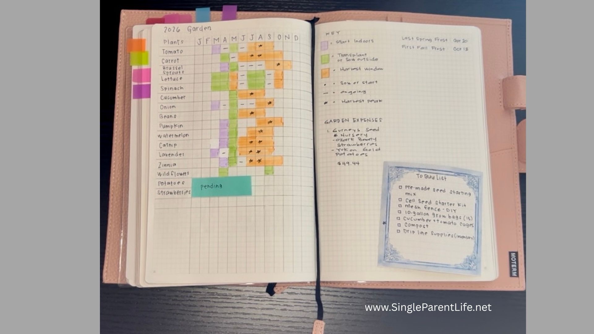 How I’m Planning Our Garden This Year (As a Beginner)